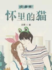 你怀里的猫什么意思