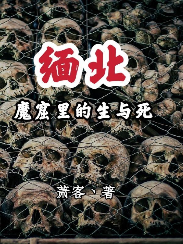 缅北恐怖经历