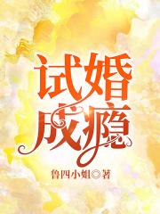 试婚成瘾夏暖完整版