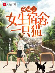 我成了女生宿舍一只猫123