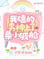 我磕的cp逆了全文阅读