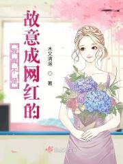 第一章我真不是故意