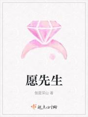 愿望先生的英文