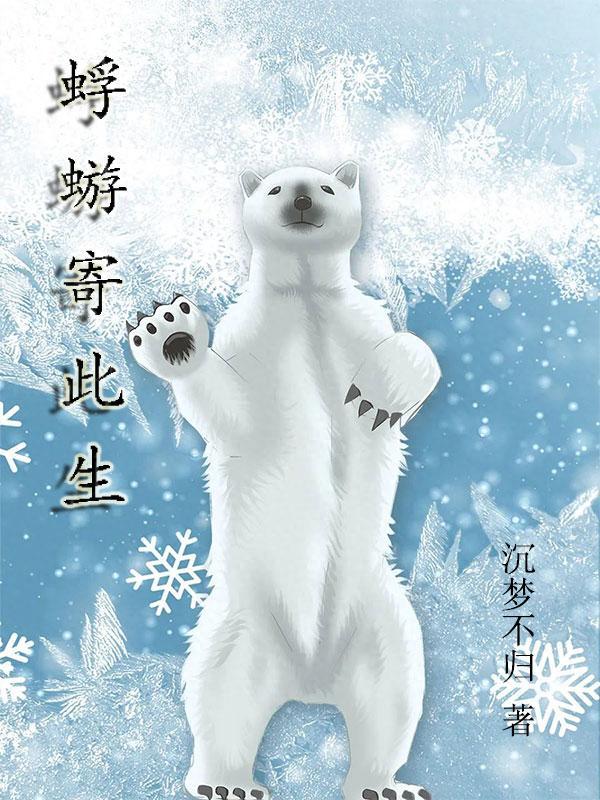 蜉蝣送是什么意思
