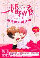 4.一婚到底律师老公难说服作者意沫沫