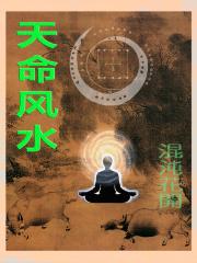 天命风水录陈累赘最后死了没