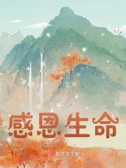 感恩生命手抄报