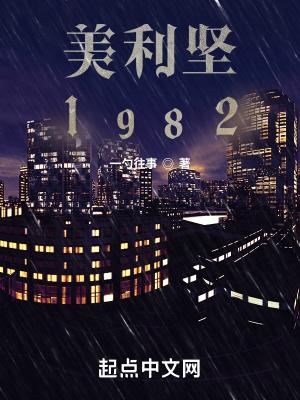 美利坚1982全本txt