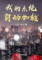 我的系统自动加钱txt