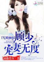 宠婚缠绵顾少轻点抱全文阅读