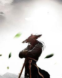 武道魔道