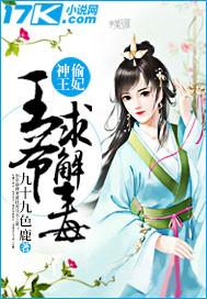 神偷王妃这个王爷我要了免费阅读全文