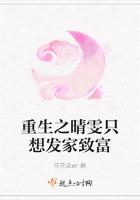 红楼之晴雯重生记