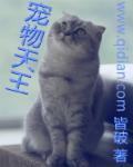 宠物天王张子安的精灵具体资料