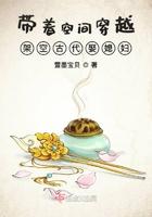 带着空间穿越古代取夫郎