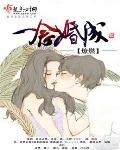 一念婚成免费阅读