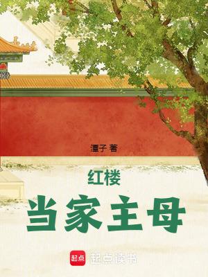 红楼当家主母百度
