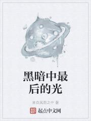 黑暗中的光讲了什么