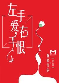左手爱右手恨电视剧免费观看