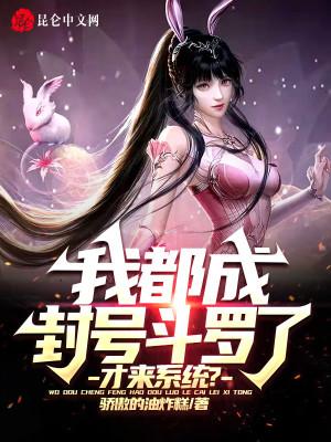 我承认我是封号斗罗
