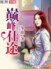 巅峰仕途第二部