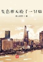 捡了一只宠物猫吉利吗