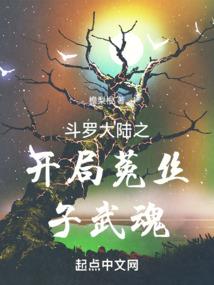 斗罗大陆之稳健开局