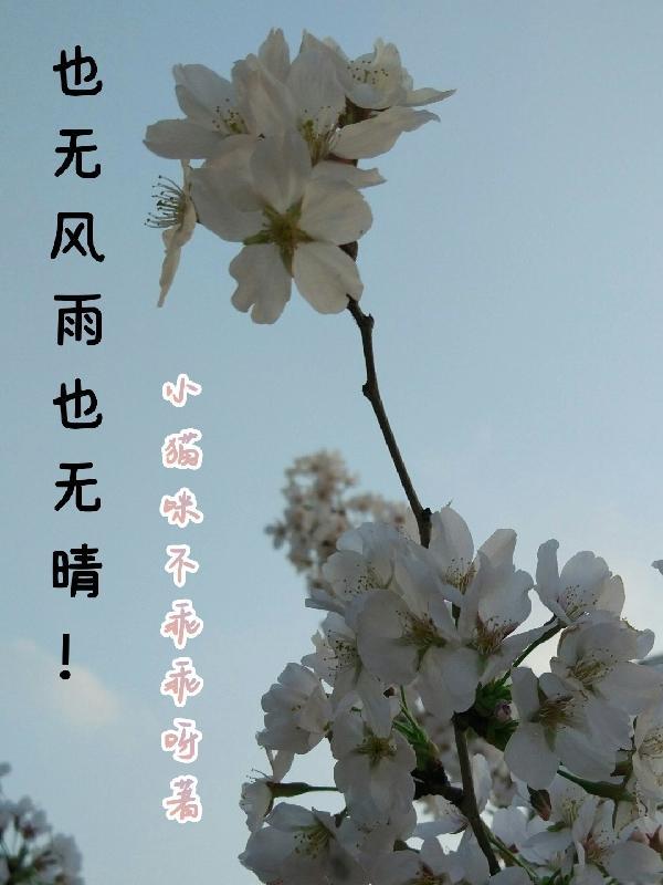 也无风雨也无晴上一句是什么意思