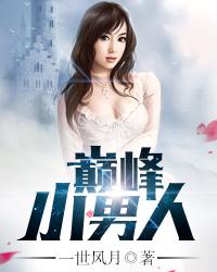 巅峰小男人txt