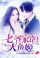 七少爷的人鱼姬