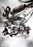 武道巅峰杨开全文