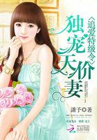 追妻不容易独爱豪门夫人