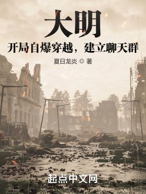 大明开局扮演