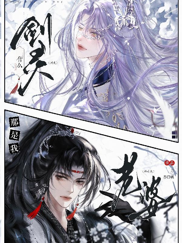 什么剑灵那是我老婆全文阅读