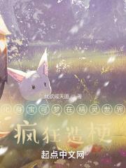 精灵之无限世界