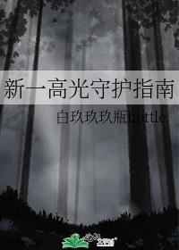 新一高光守护指南免费阅读