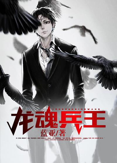 龙魂兵王林峰