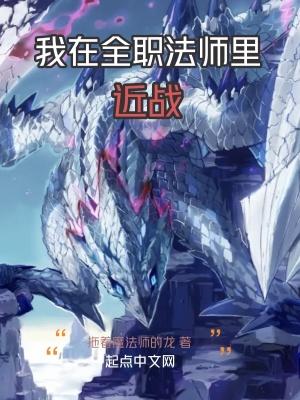 我在全职法师里近战 拖着魔法师的龙