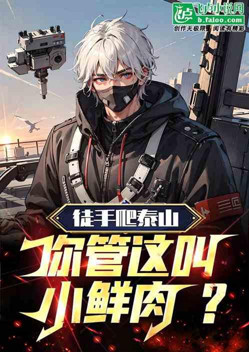 徒手登泰山的高位截瘫