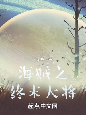 海贼之最后的大将