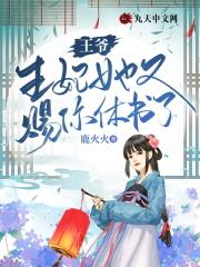 王爷王妃又去
