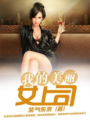 我的美女老板 韩国