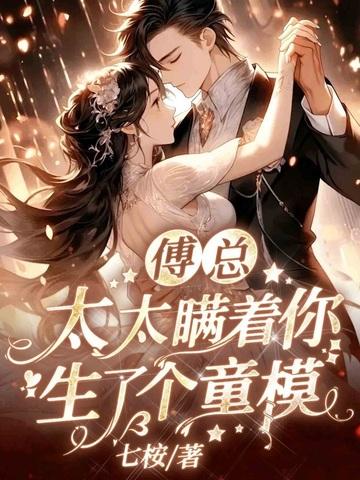 傅太太免费阅读