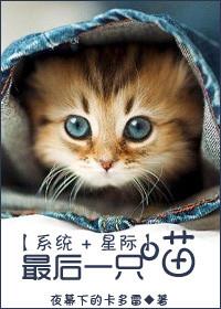 最后一只猫txt