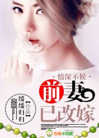 情深不晚前夫别乱来