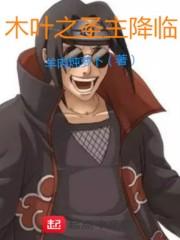 木叶之圣杯系统