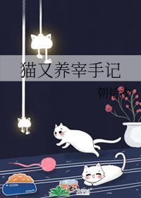 养猫又养狗下一句