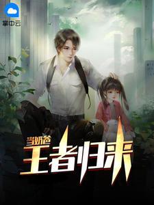 王者归来当奶爸免费阅读