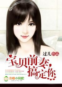 宝贝前妻复婚吧百度