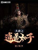 大唐之逍遥太子 第291章